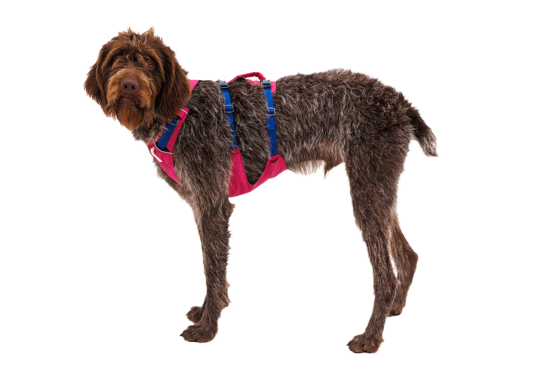 Ruffwear Flagline Harness