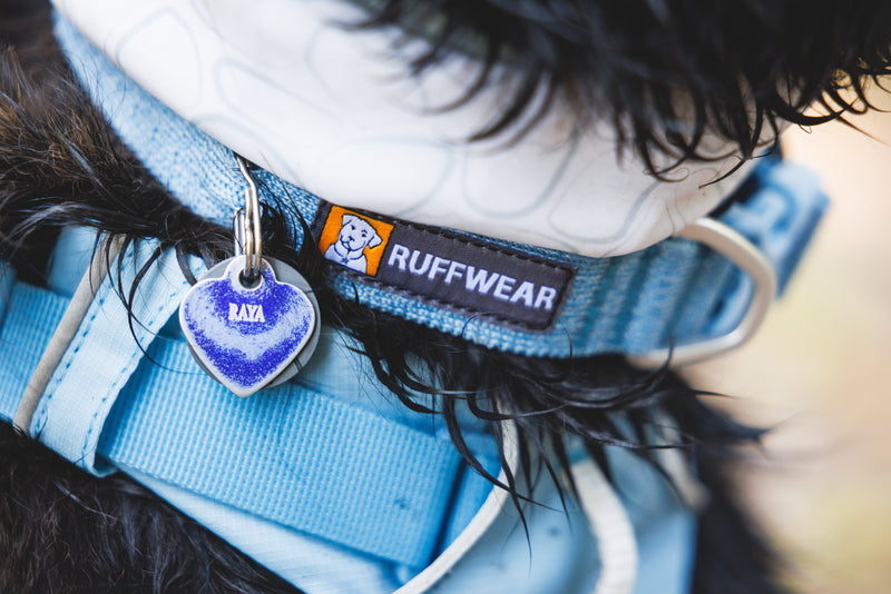 Ruffwear Front Range Flex Collar