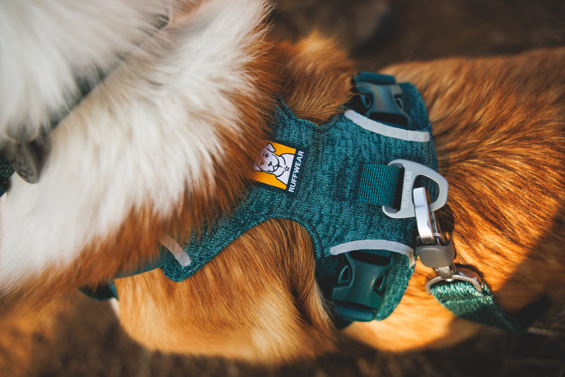 Ruffwear Front Range Flex Harness