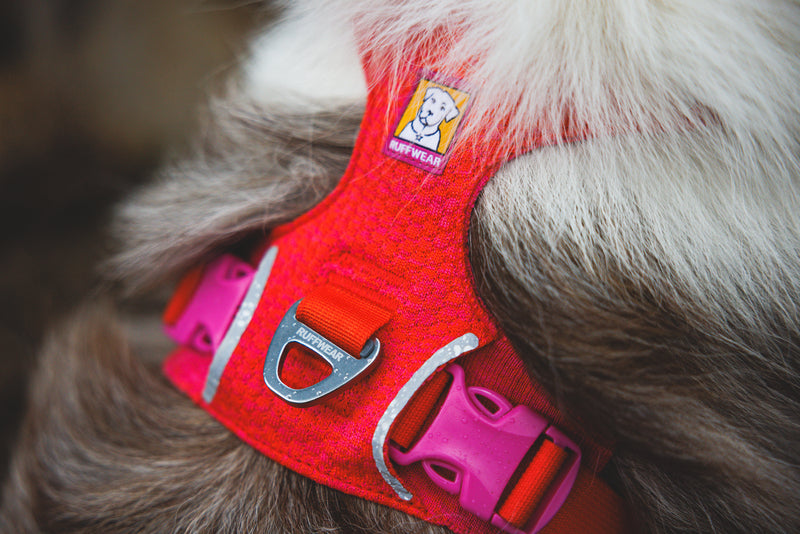 Ruffwear Front Range Flex Harness