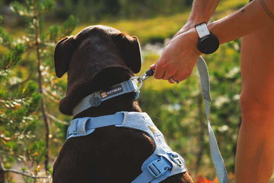Ruffwear Front Range Flex Harness