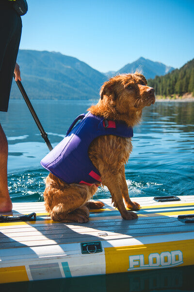 Ruffwear Float Coat Life Jacket