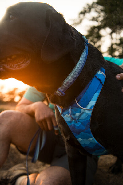 Ruffwear Front Range Collar