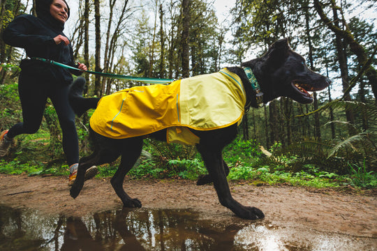 Ruffwear Front Range Collar