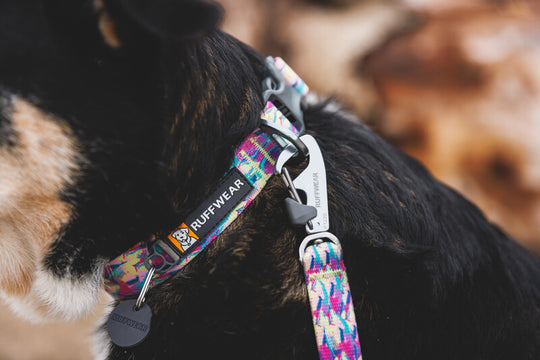 Ruffwear Front Range Collar