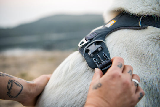 Ruffwear Front Range Harness