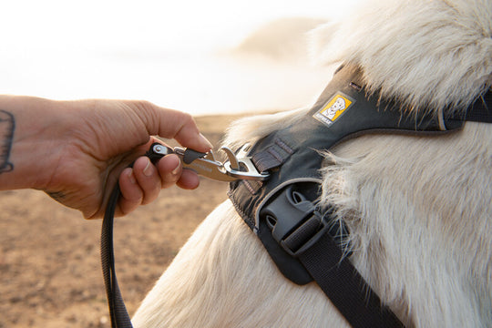 Ruffwear Front Range Harness