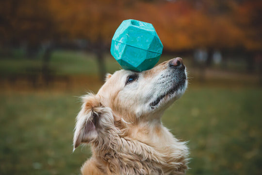 RuffwearGnawt-a-Rock Toy