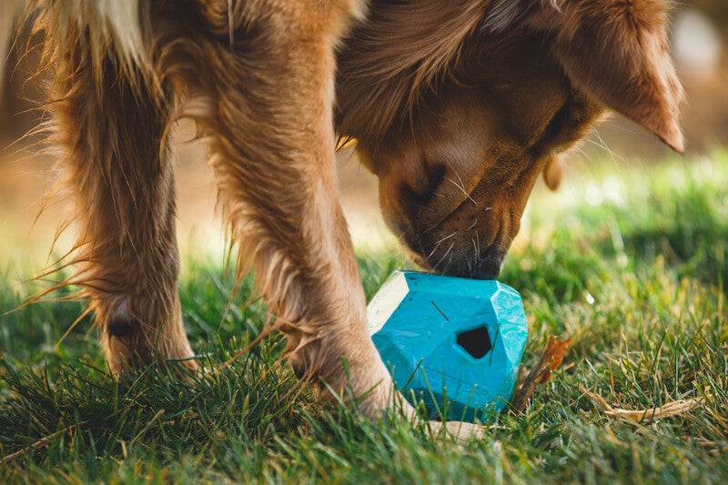 RuffwearGnawt-a-Rock Toy