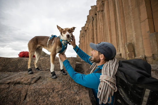 Ruffwear Grip Trex Pairs