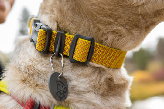 Ruffwear Hi & Light Collar