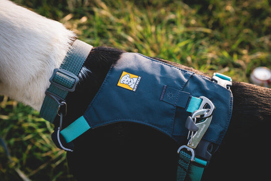 Ruffwear Hi & Light Harness