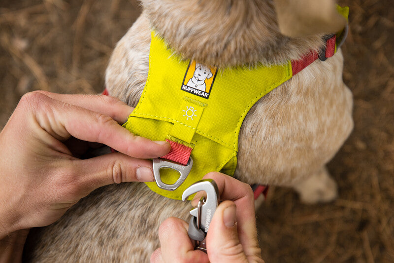 Ruffwear Hi & Light Harness