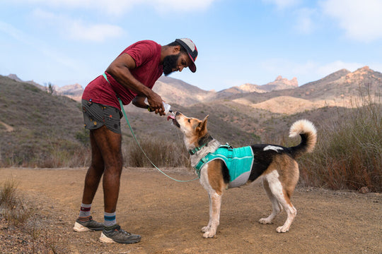 Ruffwear Hi & Light Harness