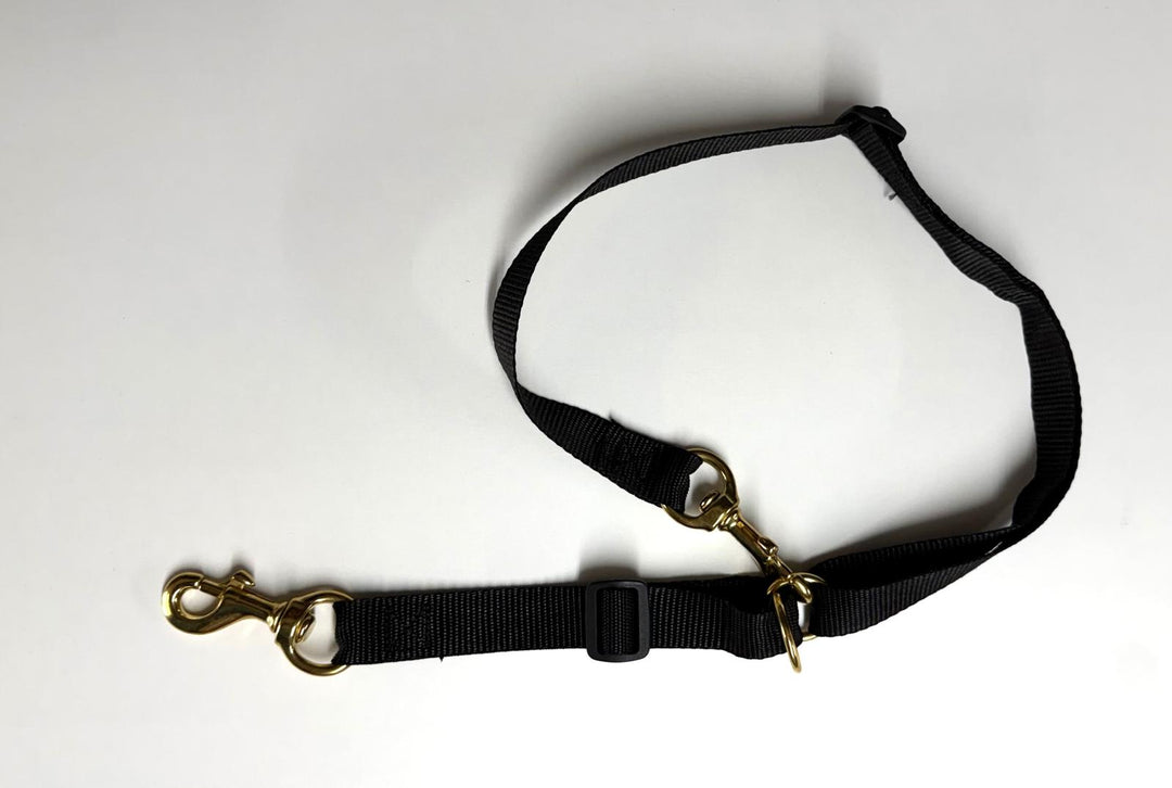 IGP/IPO Bottcher Tracking Harness
