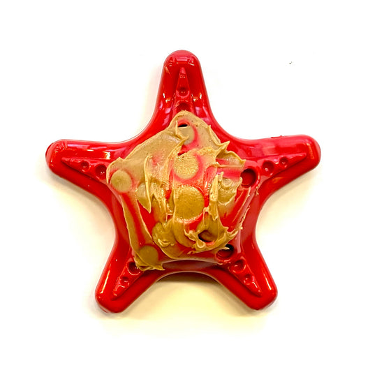 Sodapup Nylon Starfish