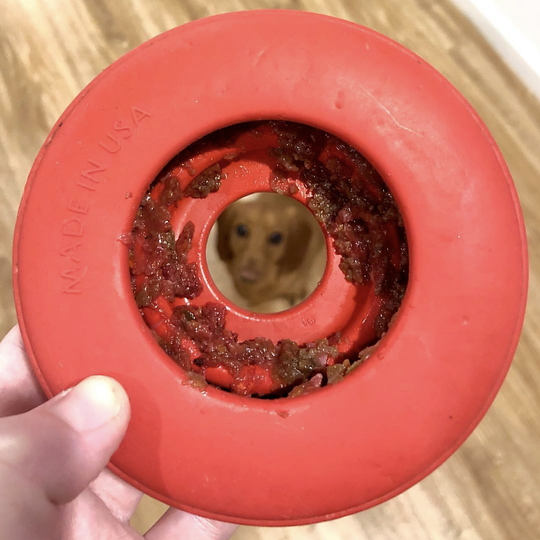 Sodapup Life Ring Treat Dispenser