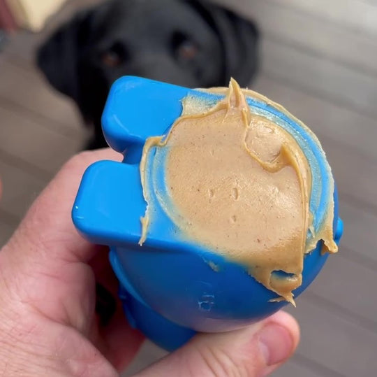 SodaPup Nylon Bunny Chew Toy & Treat Dispenser
