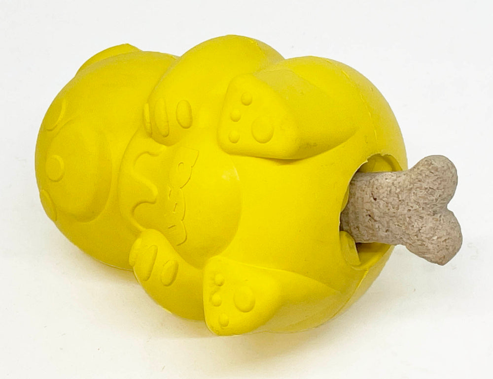 SodaPup Honey Bear