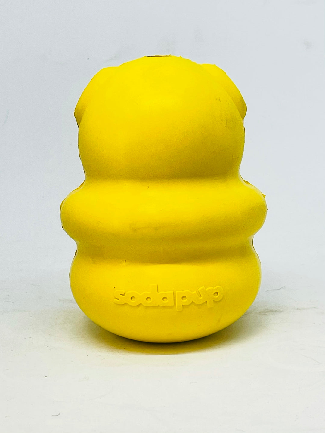 SodaPup Honey Bear