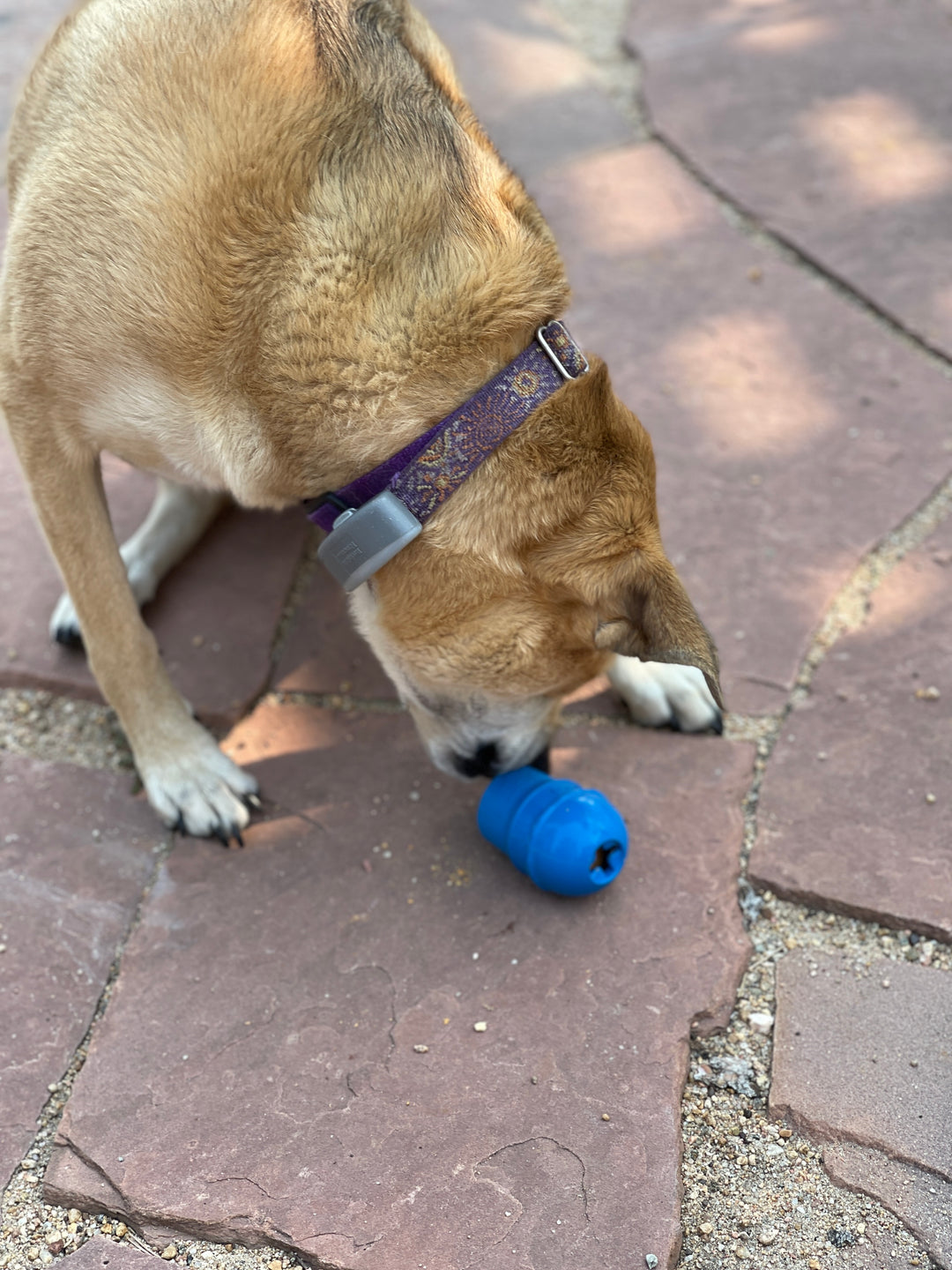 Sodapup Ice Cream Cone Chew Toy and Treat Dispenser
