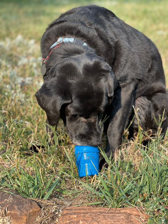 Sodapup Ice Cream Cone Chew Toy and Treat Dispenser