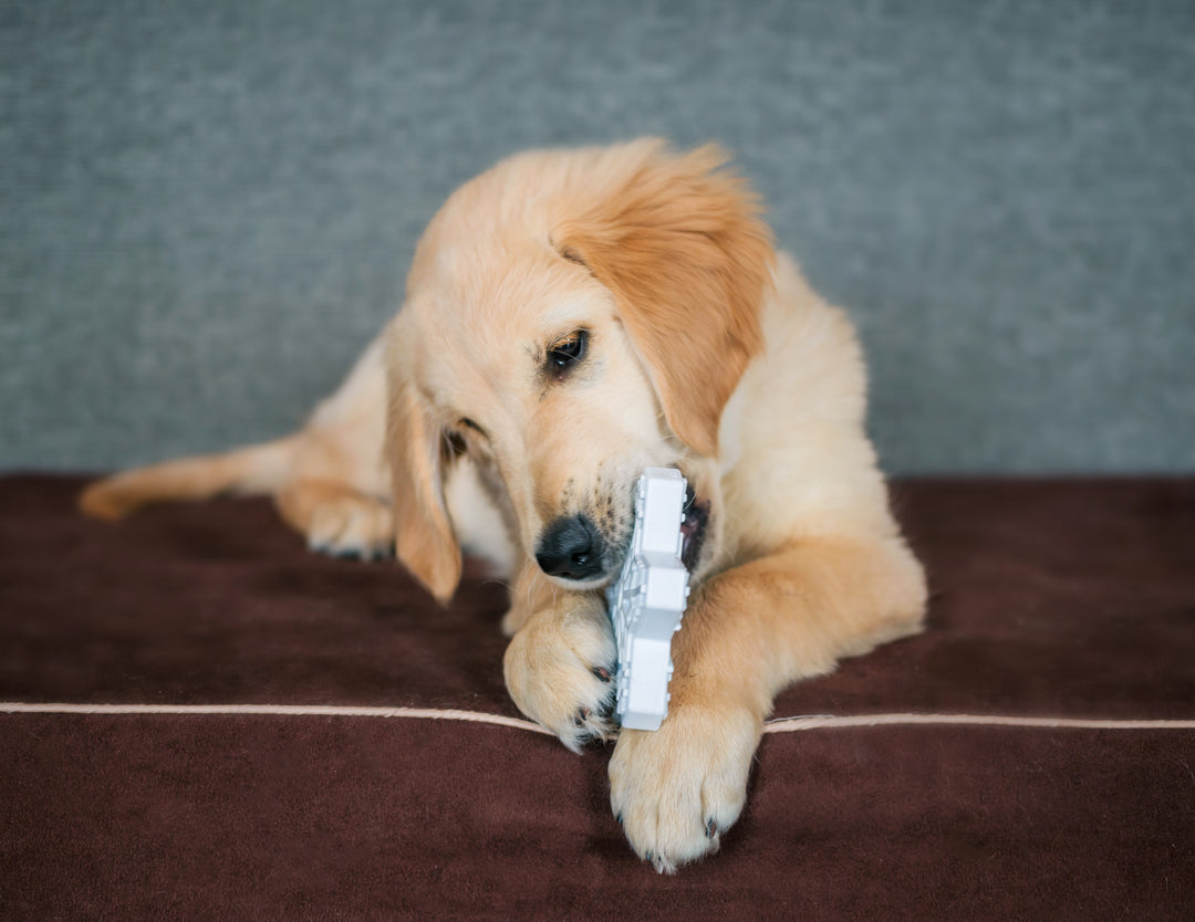 SodaPup Snowflake Ultra Durable Nylon Dog Chew