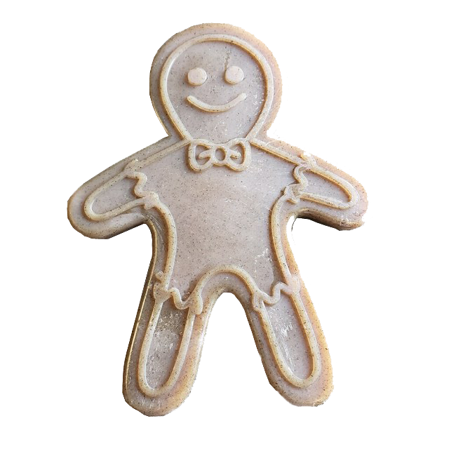 SodaPup Nylon Gingerbread