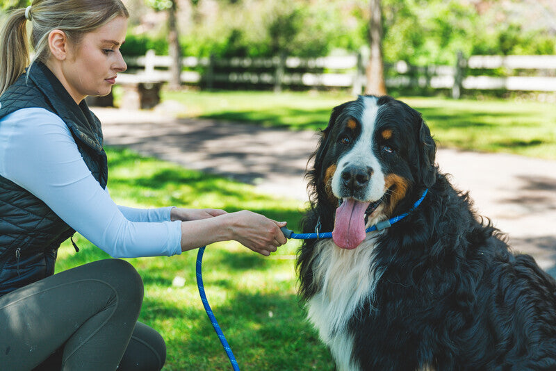 Ruffwear Just-a-Cinch Leash