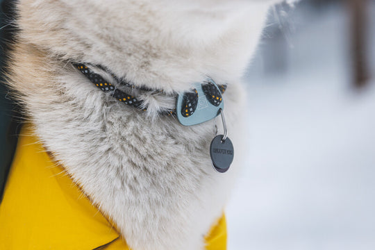 Ruffwear Knot-a-Collar