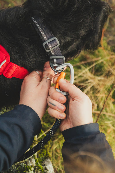 Ruffwear Knot-a-Leash