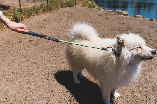 Ruffwear Knot-a-Long Leash
