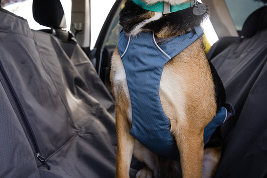 Ruffwear Load Up Harness