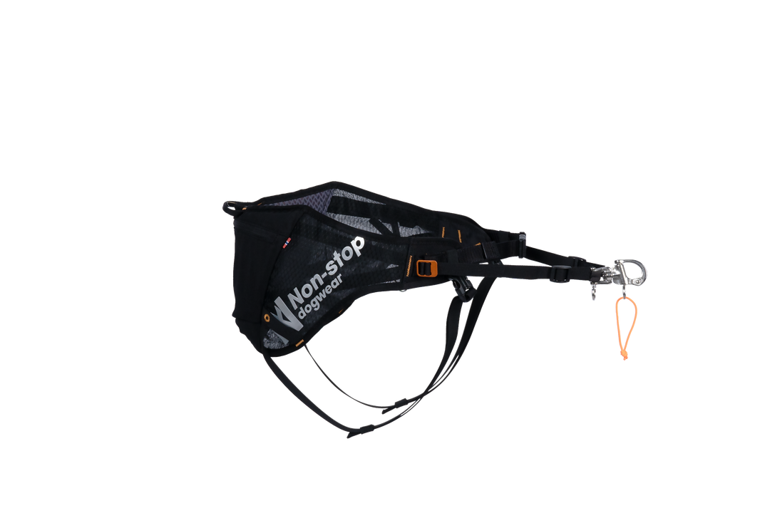 Loype Belt Pro