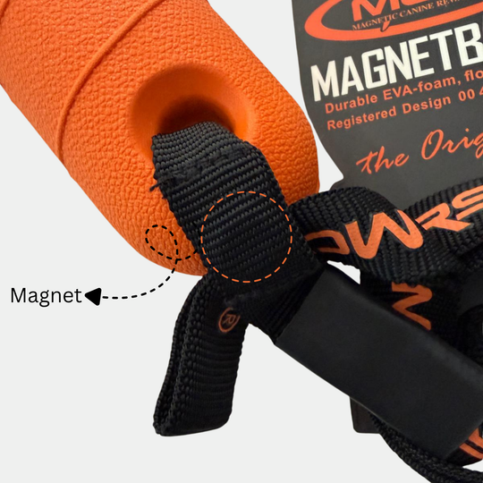 EVA-Foam Magnet biteroll, tooth cleaning and floating