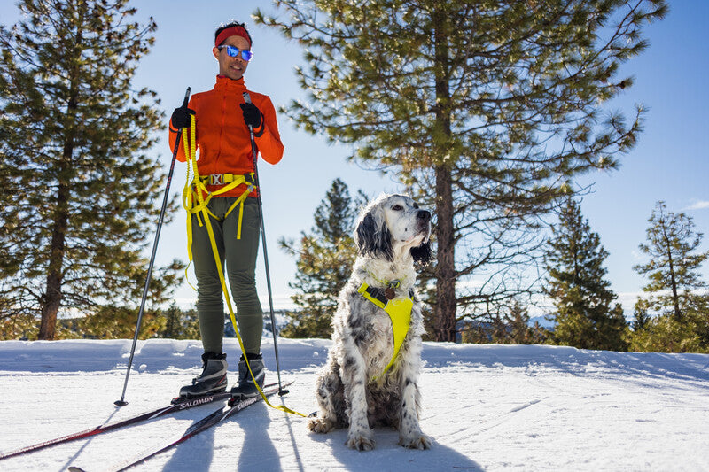 Ruffwear Omnijore Joring System