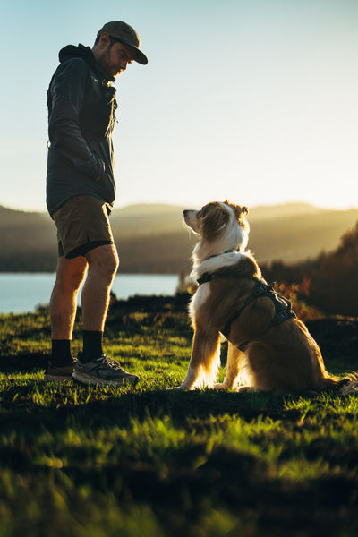 Ruffwear Ridgeline Harness