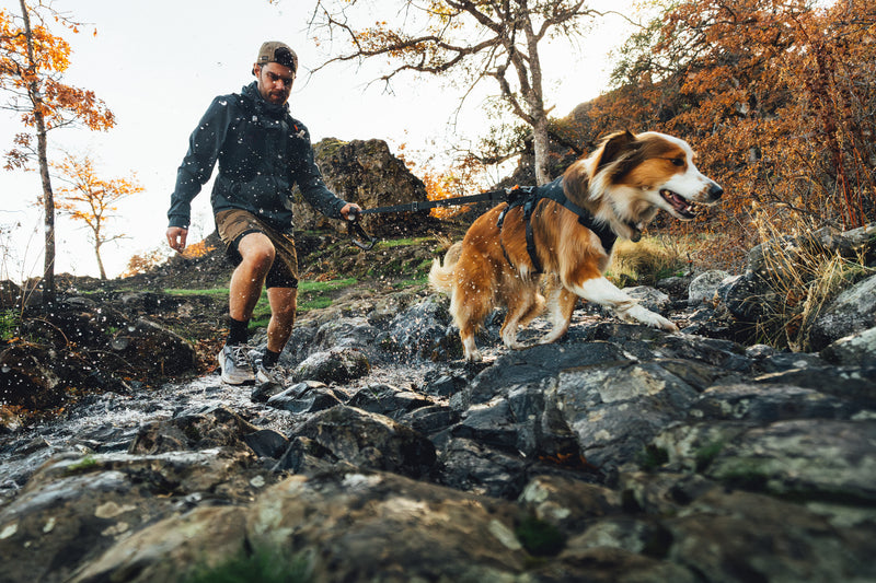Ruffwear Ridgeline Harness