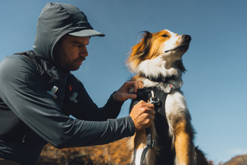 Ruffwear Ridgeline Harness