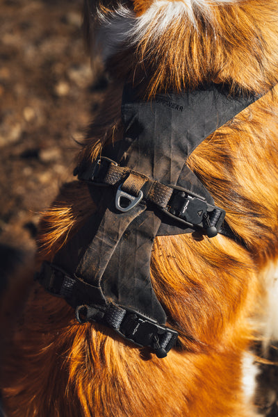 Ruffwear Ridgeline Harness
