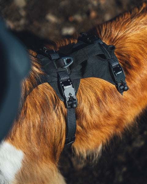 Ruffwear Ridgeline Harness