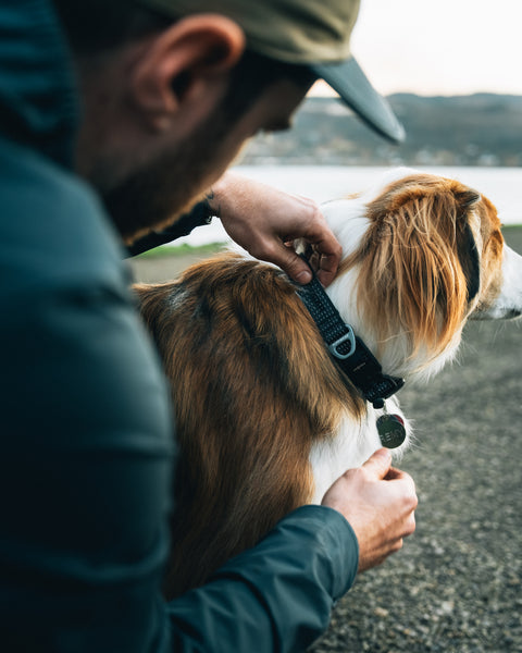 Ruffwear Ridgeline Collar
