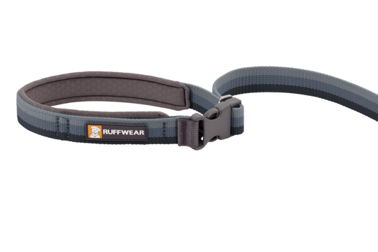 Ruffwear Roamer Leash