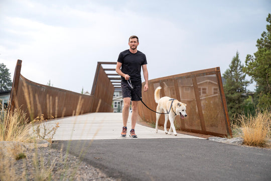 Ruffwear Double-Ended Dog Lead