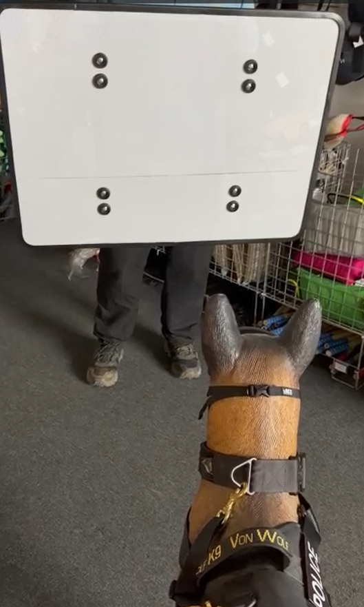 PSA Targeting Shield
