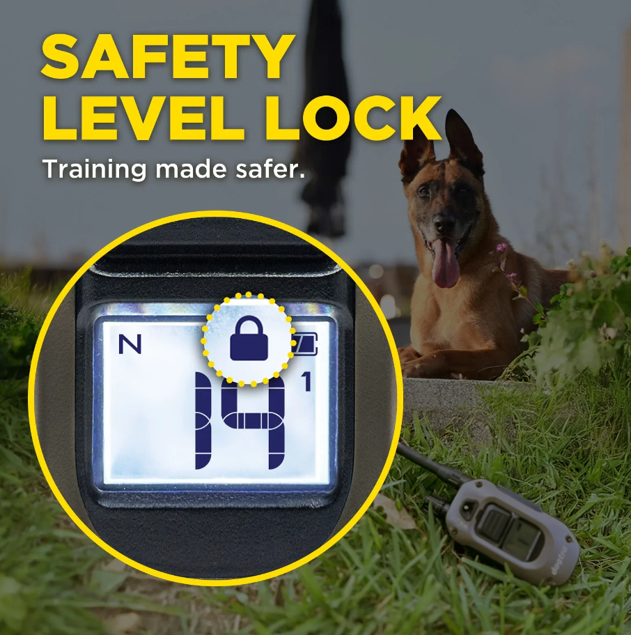 Dogtra ARC-X Kit 1-Dog Unit