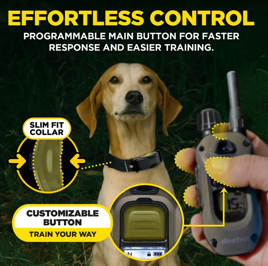 Dogtra ARC-X Kit 1-Dog Unit