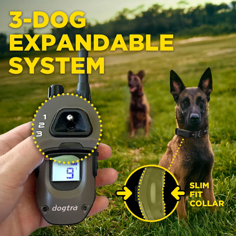 Dogtra ARC-X Kit 1-Dog Unit