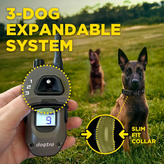 Dogtra ARC-X Kit 1-Dog Unit