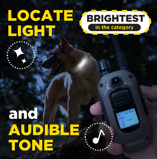 Dogtra ARC-X Kit 1-Dog Unit